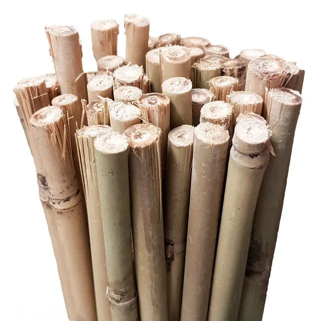 Bamboo Stakes 60cm