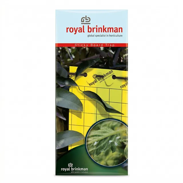 Yellow Sticky Insect Traps | 25cm x 10cm