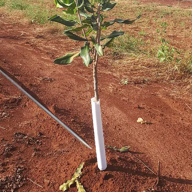 SpringWrap Tree Trunk Guard 300mm -  The Garden Superstore