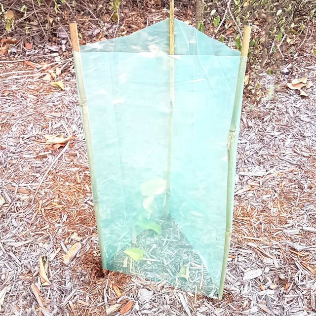 Tree Protection Sleeves Green 560mm x 400mmW -  The Garden Superstore